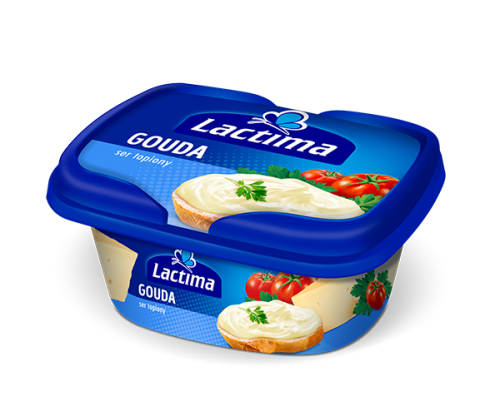 GOUDA-1.png