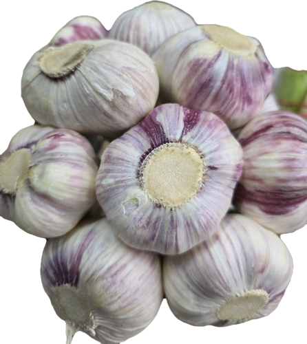 20260408_101138.png