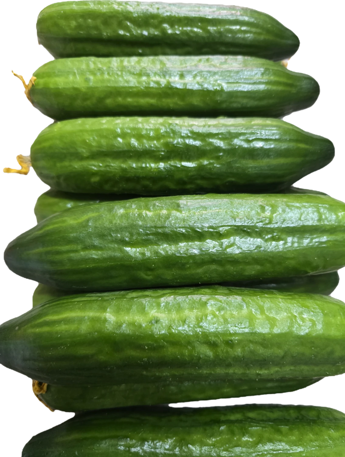 20260312_073759.png