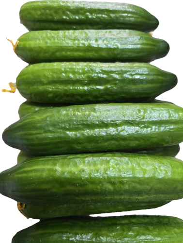 20260312_073759.png